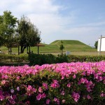 癒し空間に花が咲く