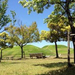第6回 邇波史楽座 ー大王様への発表会ー5月18日(土)10時から
