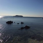 海岸と石たち