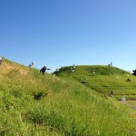5年目に *記念日
