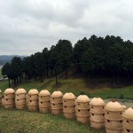 倭国と古墳学