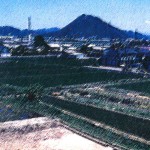 淡海湖周遊への憧れ
