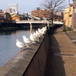 城下町する・金沢