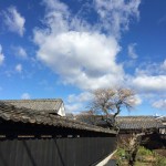 新しい活動拠点