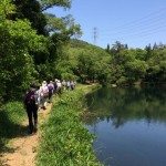 善師野