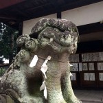 小さな社での出会