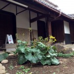 半年が過ぎ,秋になる