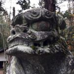 信州蕎麦三昧