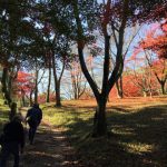 山頂の赤いじゅうたん