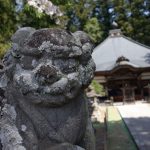 1000kmの旅
