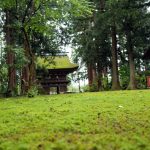 苔と祭り