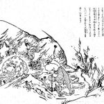 企画展*イカ石