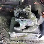 犬山で狛犬たび