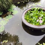 歴史を封じ込める塗料