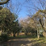 大野郡を訪ねる